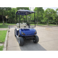 Single seat cheap golf cart with 48v 2000w brushless high frequency dc moto for sale